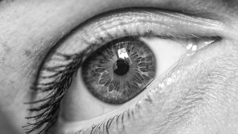 ile kosztują rzęsy 1 do 1