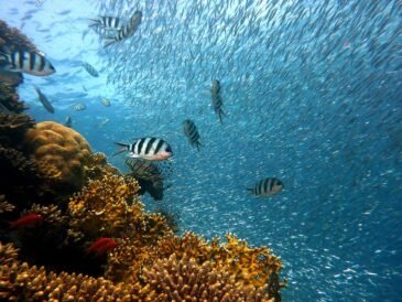 Ile trwa lot do Marsa alam z Polski