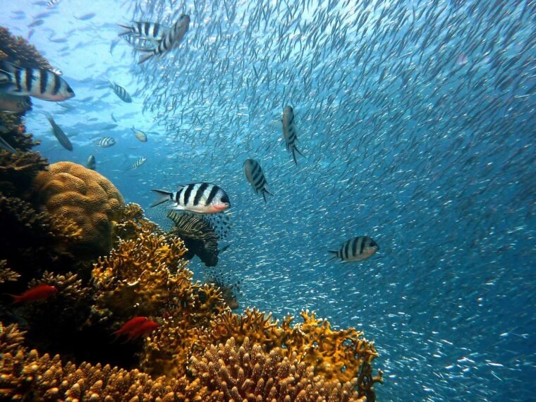 Ile trwa lot do Marsa alam z Polski