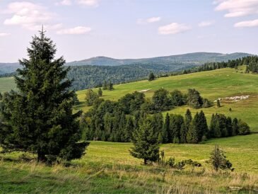 Gdzie pod namiot w Beskidy