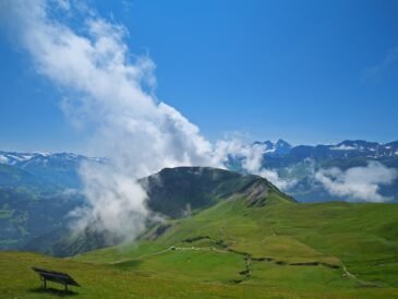 Gdzie na grzyby w Beskidy