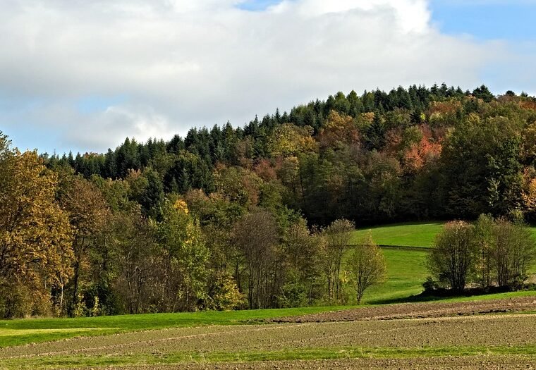 Gdzie na sanki w Beskidy