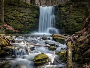 Gdzie w góry z psem Beskidy