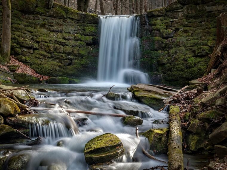 Gdzie w góry z psem Beskidy
