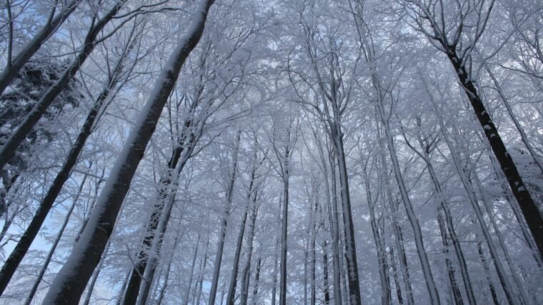 Gdzie w Beskidy na jeden dzień
