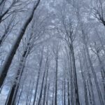 Jak się ubrać do biegania w zimne dni