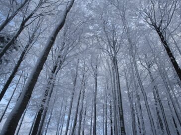 Gdzie w Beskidy na weekend